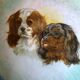Coupelle en métal émaillée King  Charles