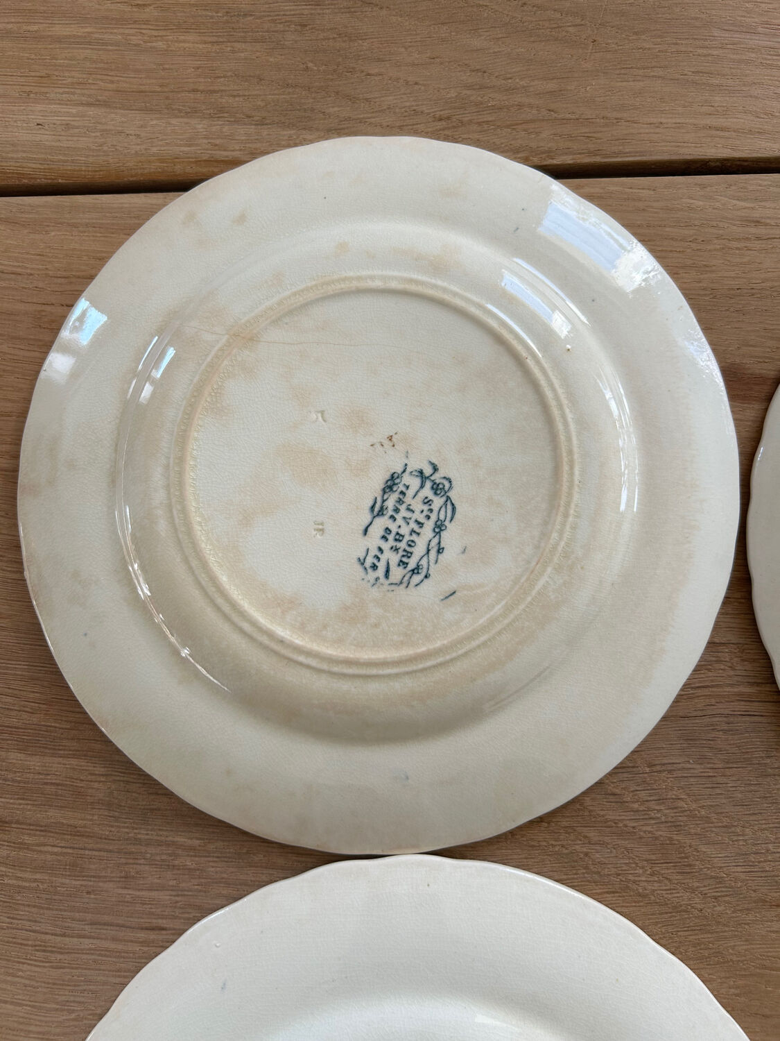 Set of 5 dessert plates Terre de fer Jules Vieillard