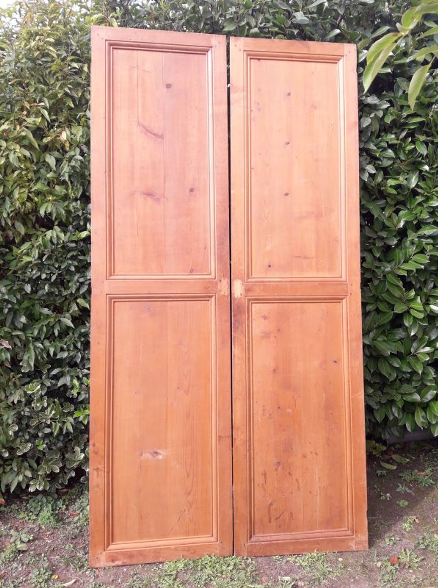 Paire de portes 248x129cm anciennes