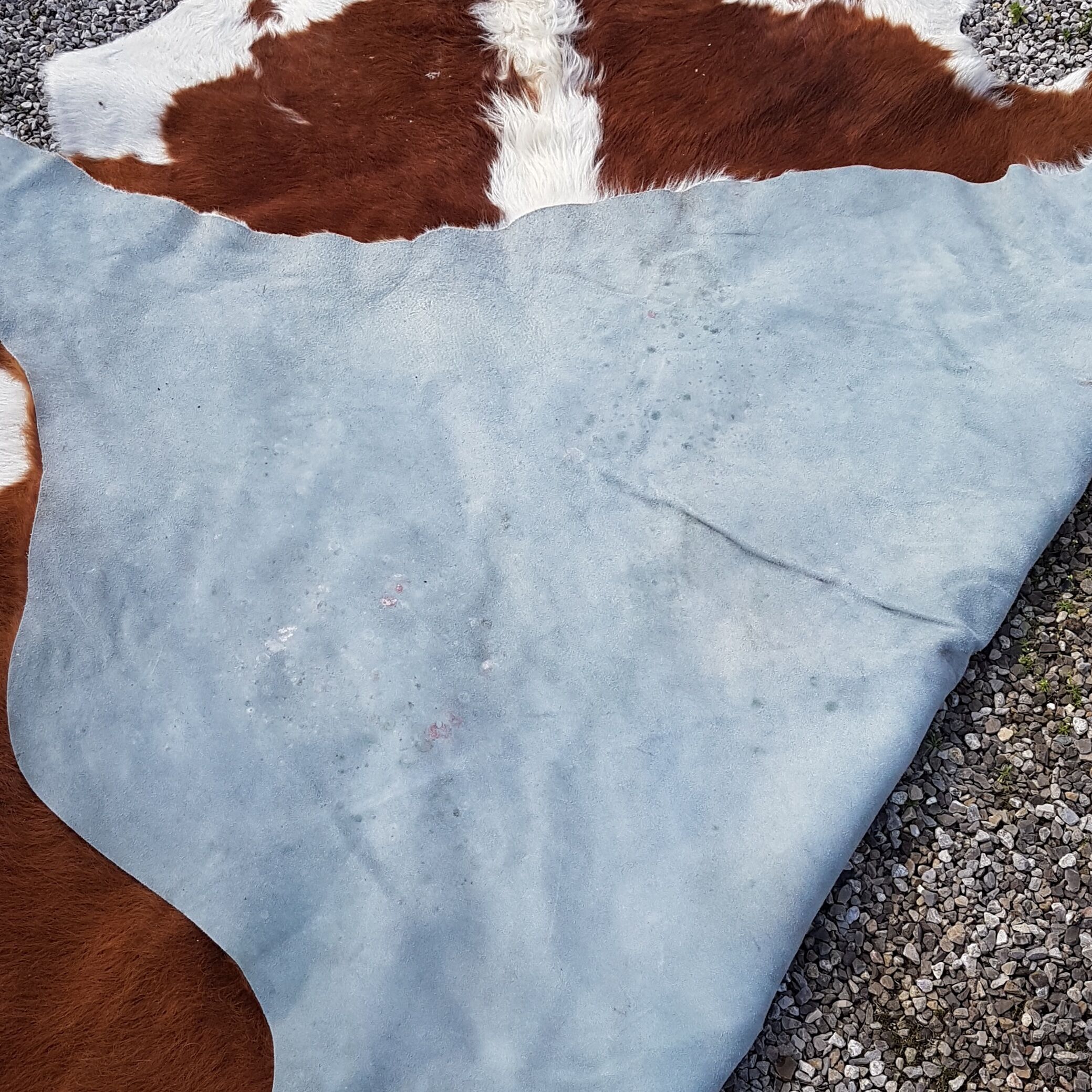Vintage cow skin 230 x 210 cm