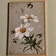 Flowery paintings
