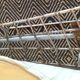 2 Chaises Bertoia 70/80