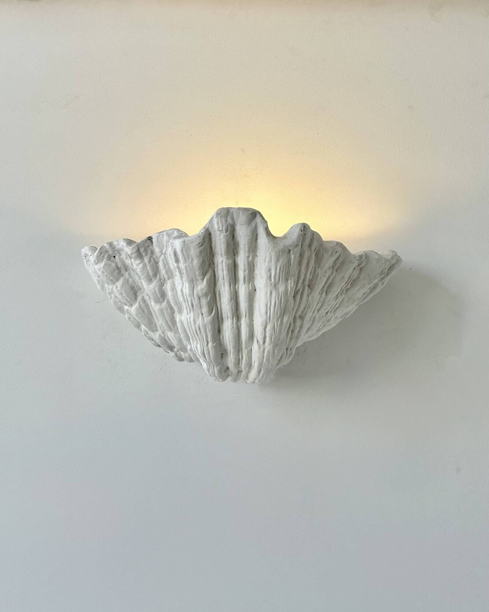 Pair of XL vintage shell plaster wall lights, France, attributed to S. Roche.