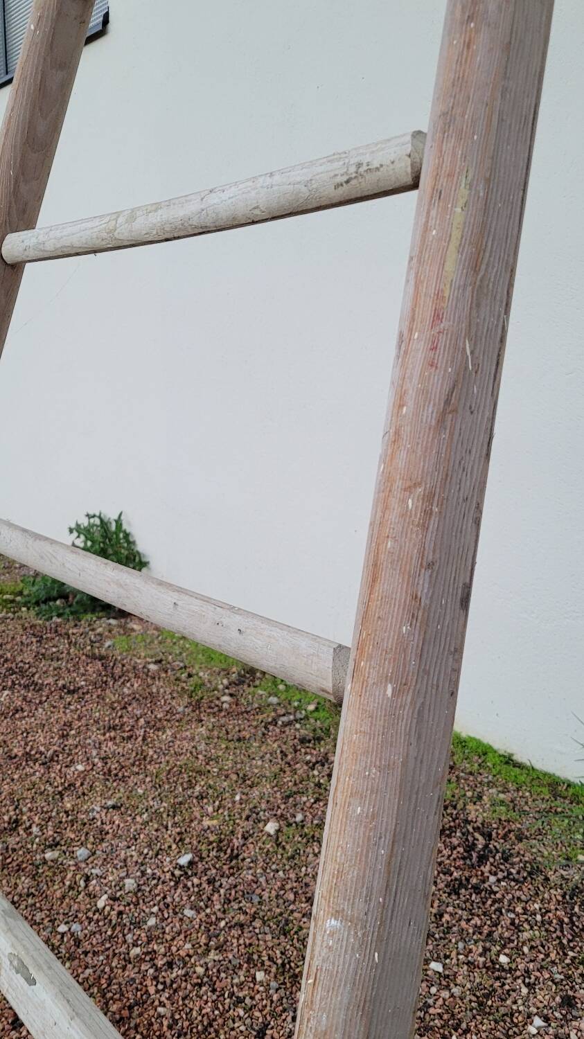 Old wooden fruit harvest market gardener's ladder - 3m65