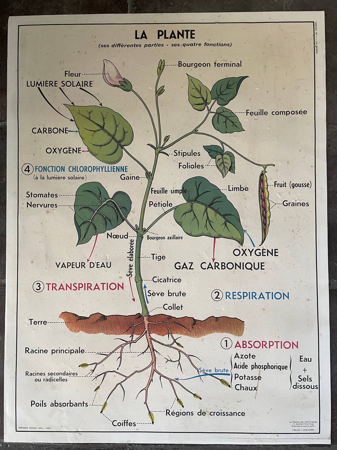 Old school educational poster, school
