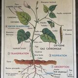 Old school educational poster, school