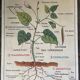 Old school educational poster, school