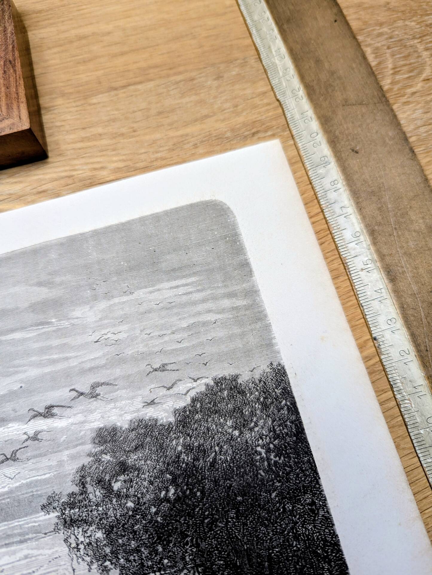 Suriname River, Parham. Printed illustration from 1866.