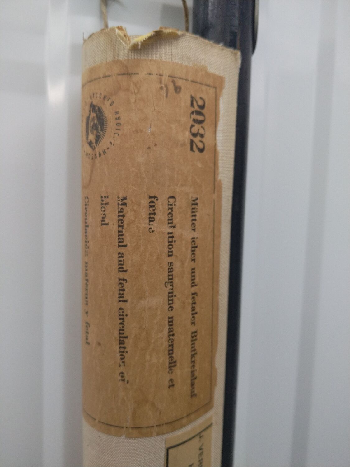 Vintage school poster