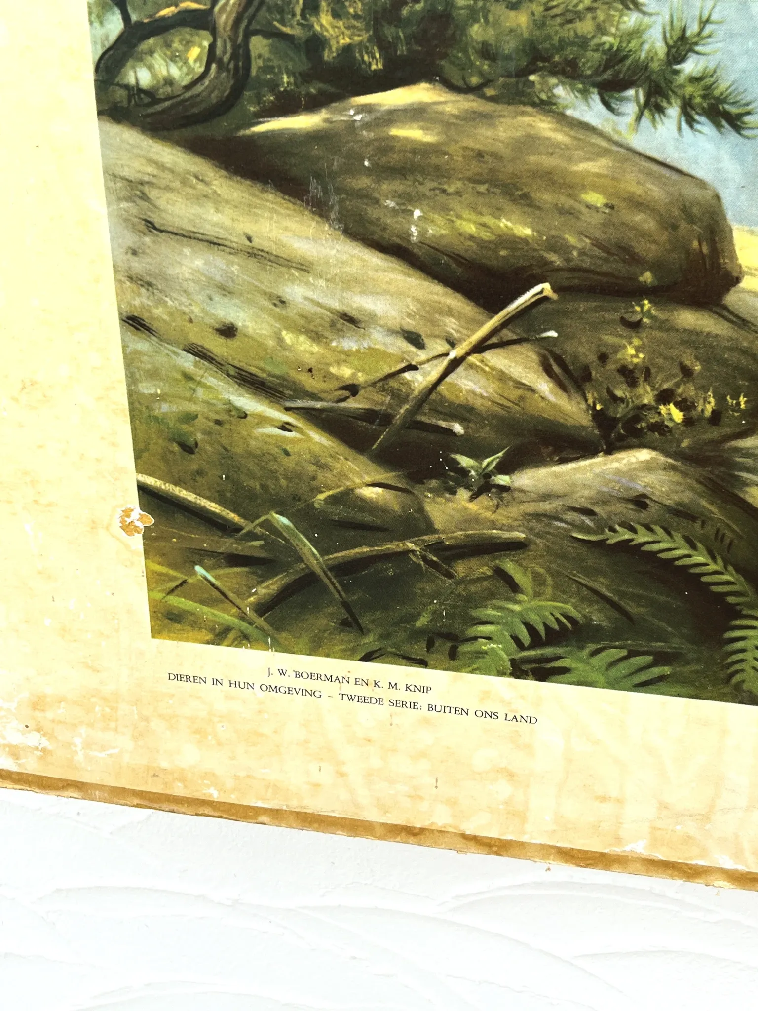 School poster J.B. Wolters