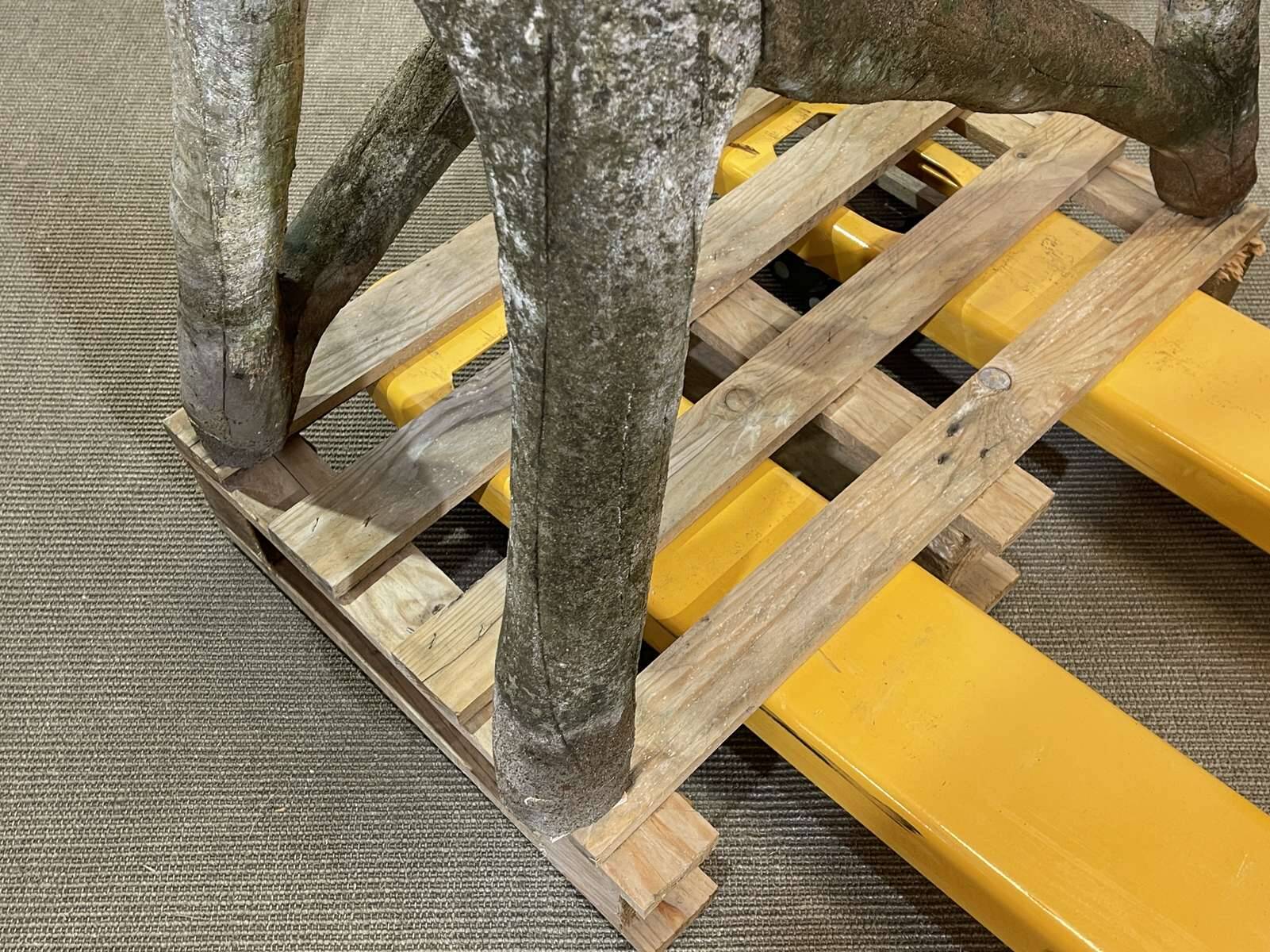 1950s faux wood cement planter, old water mill