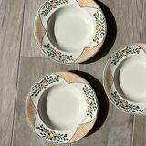 5 Longwy hollow plates