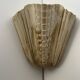 Pair of vintage shell wall lights, beige patinated plaster, France, 1940