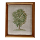 Petit canevas vintage arbre encadrement bois