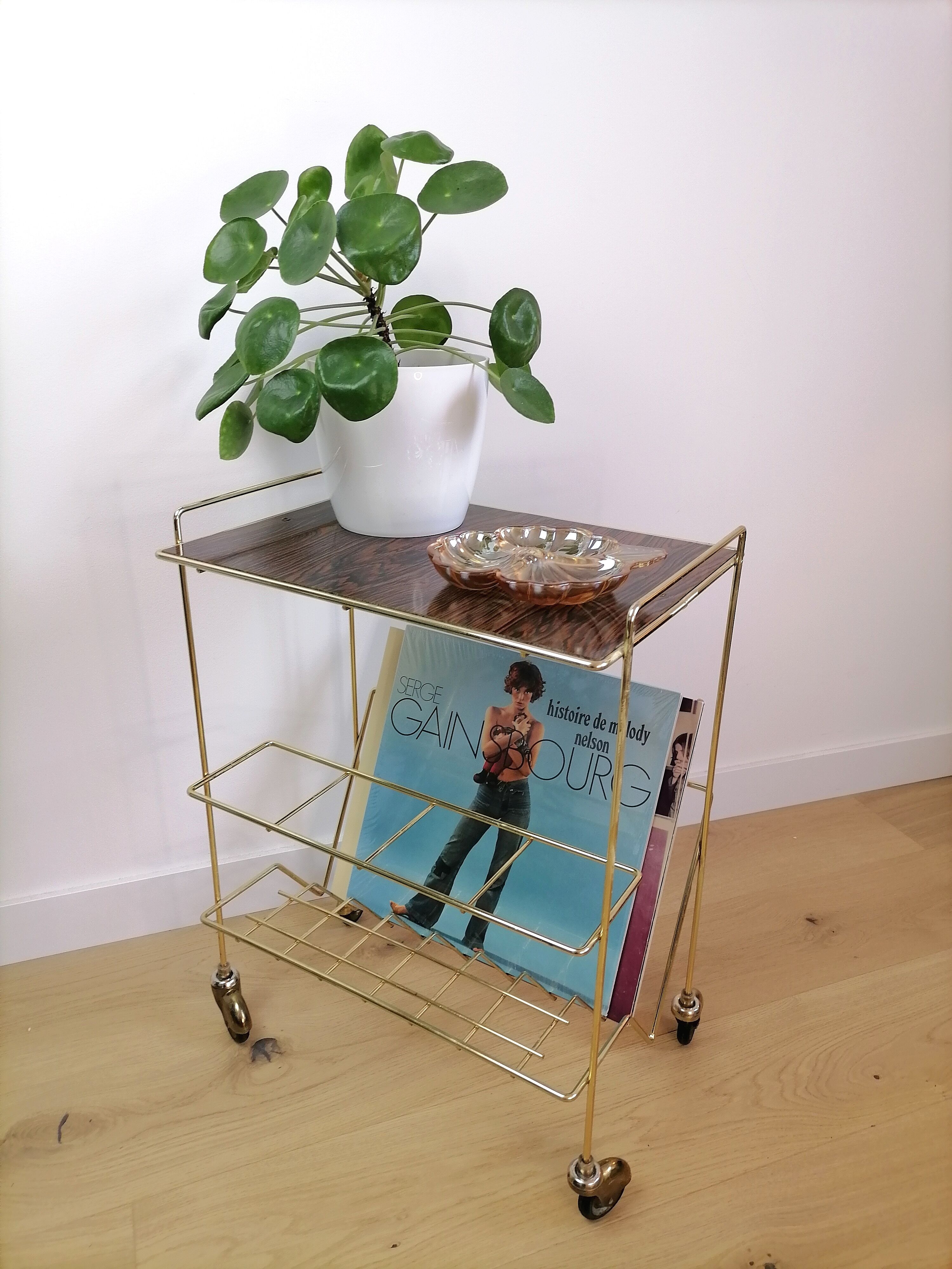 Vintage vinyl door service