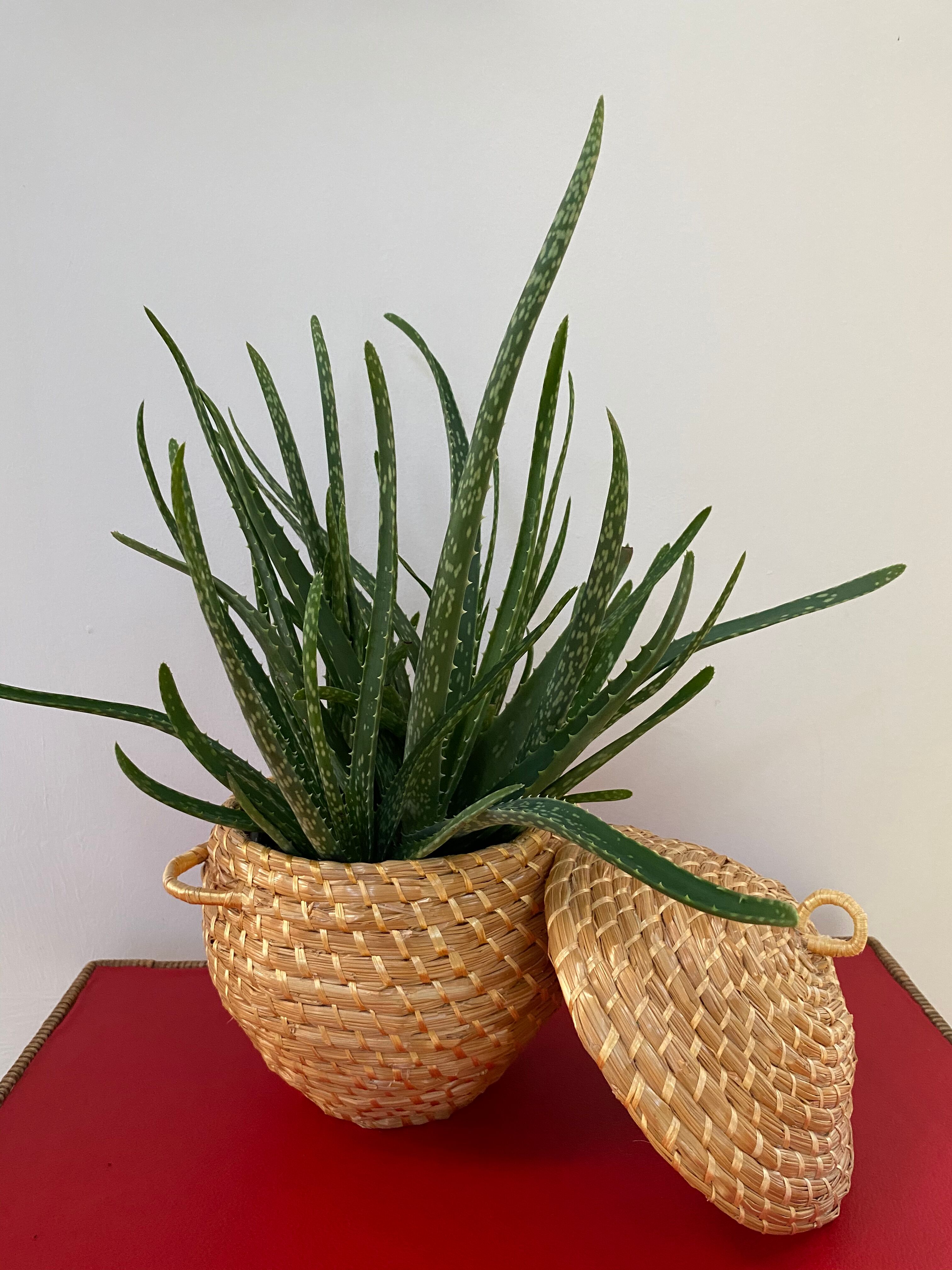 Artisanal basket made of natural fibers