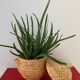 Artisanal basket made of natural fibers