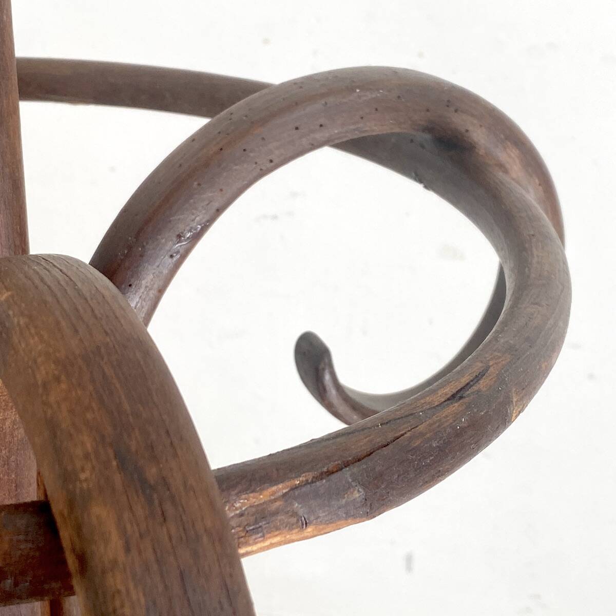 Thonet Style Parrot Coat Rack in Bent Wood, Early 20th Century