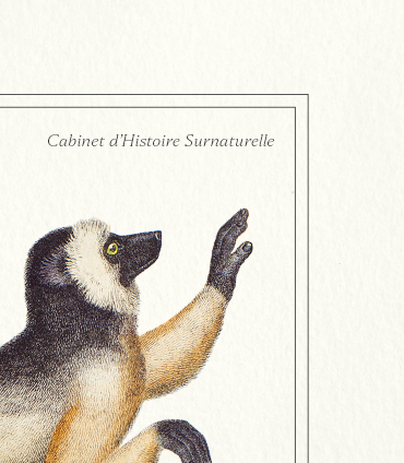 Set of 2 framed chimera lithograph animal engraving