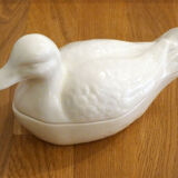 Box Duck earthenware Germany
