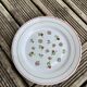 Vintage plates from Lunéville