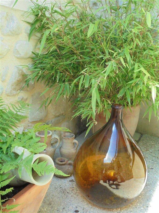Amber demijohn 20 L