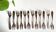 12 Vintage Stainless Steel Dessert Forks