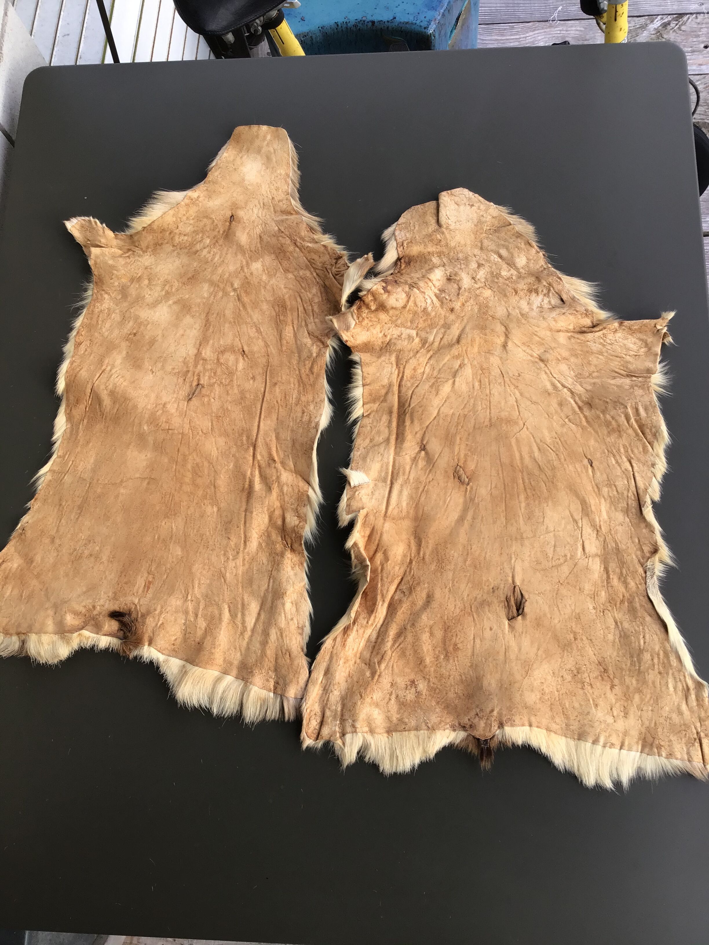 Set of 2 beige goat skins
