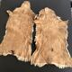 Set of 2 beige goat skins