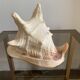 Shell horned helmet 25 cm