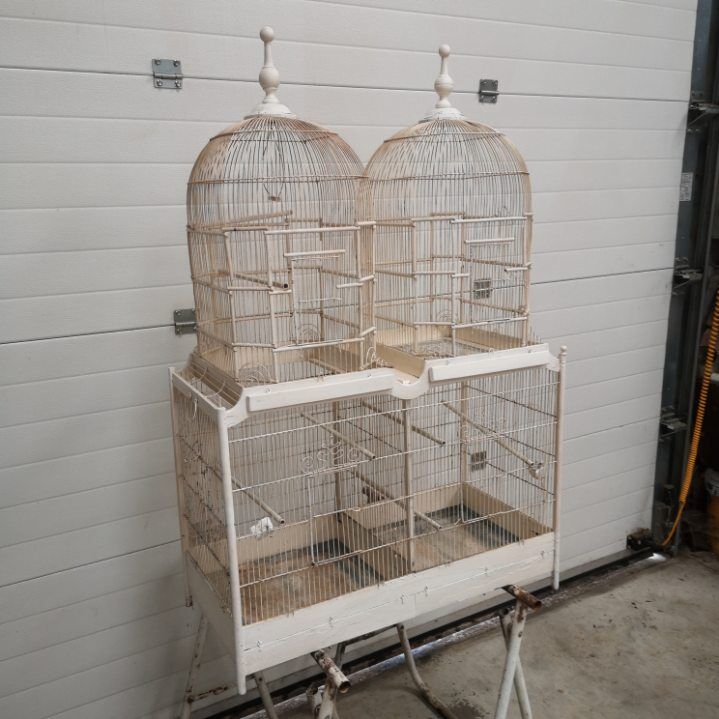 Double cage with birds in wooden metal white rectangular bell tower 1910