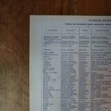 Original lithograph on medicinal plants (2)