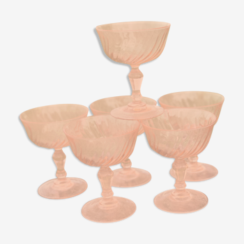 Rosaline champagne cup series