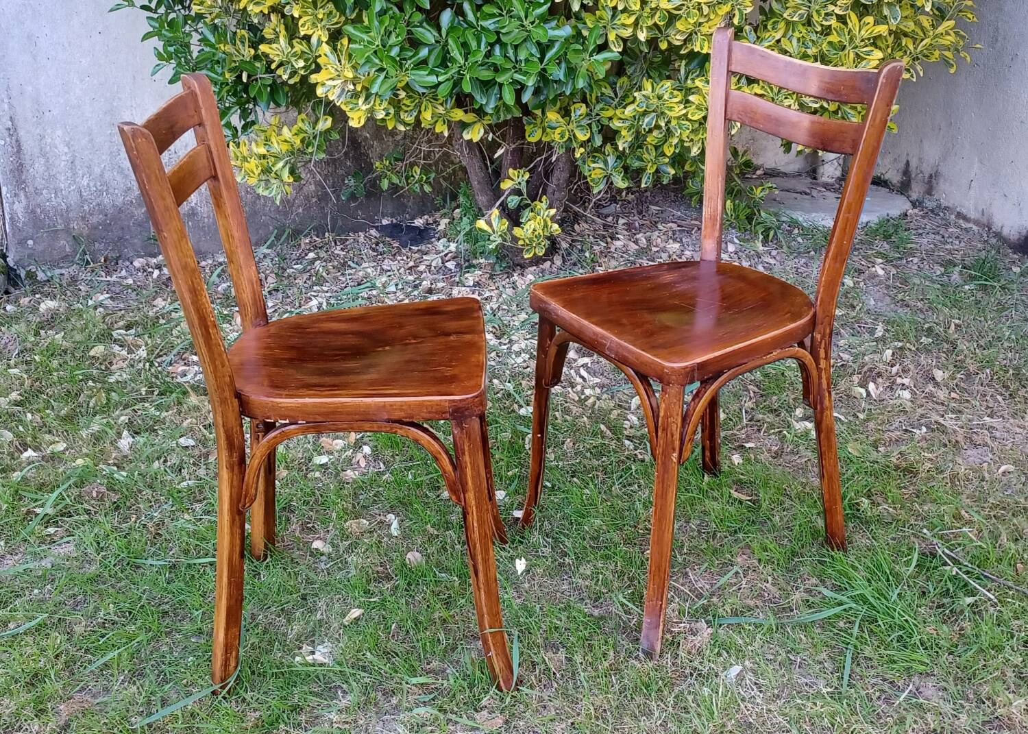 Paire de chaises bistrot Baumann n°56