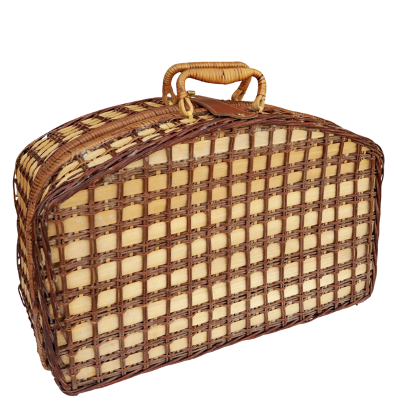 Panier de pique-nique en osier, intérieur en vichy bleu