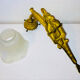 St Louis XVI wall light in solid gilded bronze + fluted glass tulip
