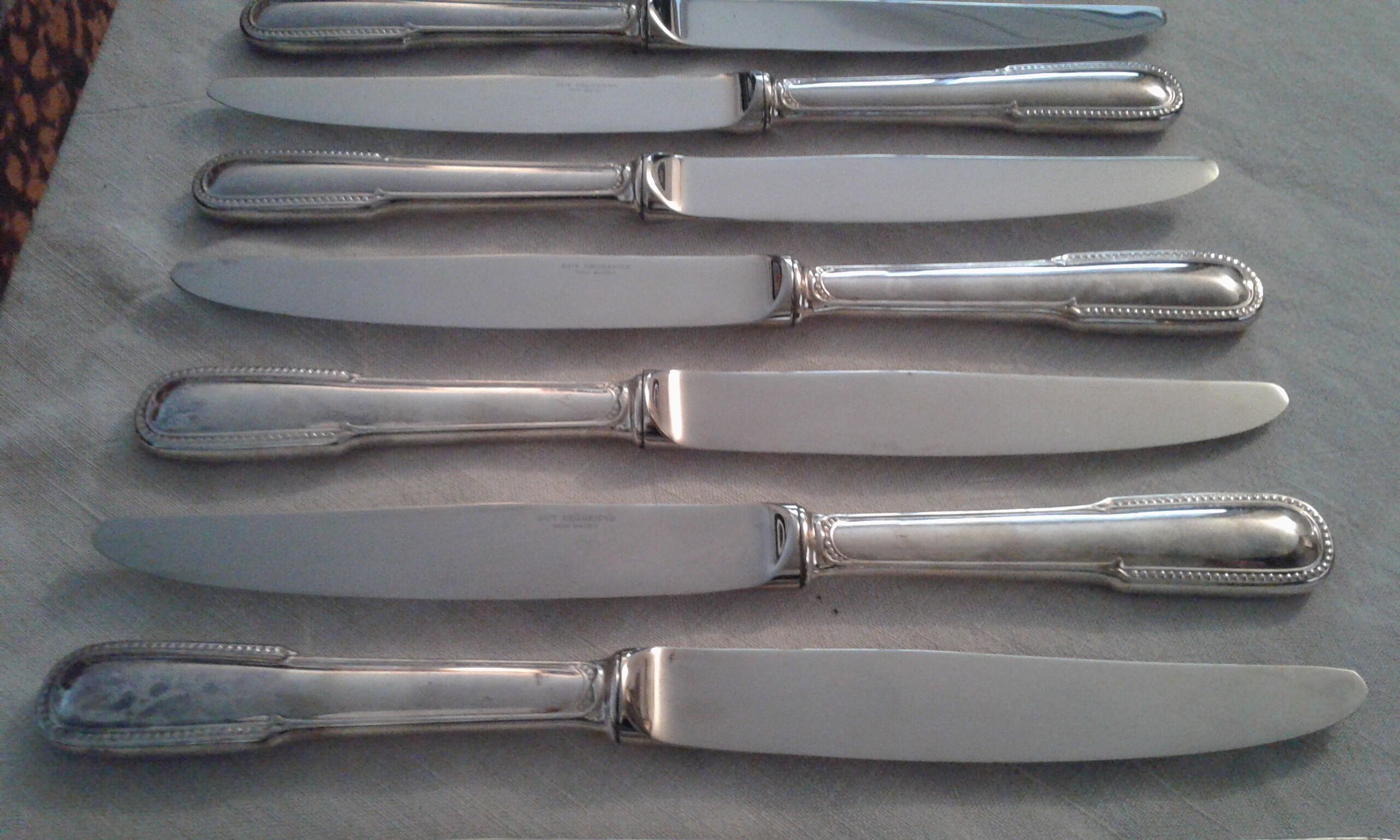 12 knives stainless steel Guy Degrenne