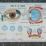 Old MDI school poster, eye-vision & ear-nose