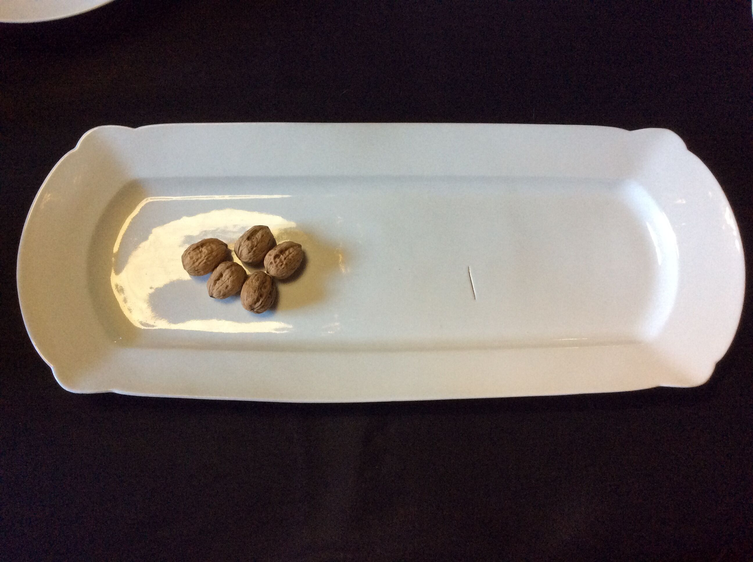 White dish, fish dish