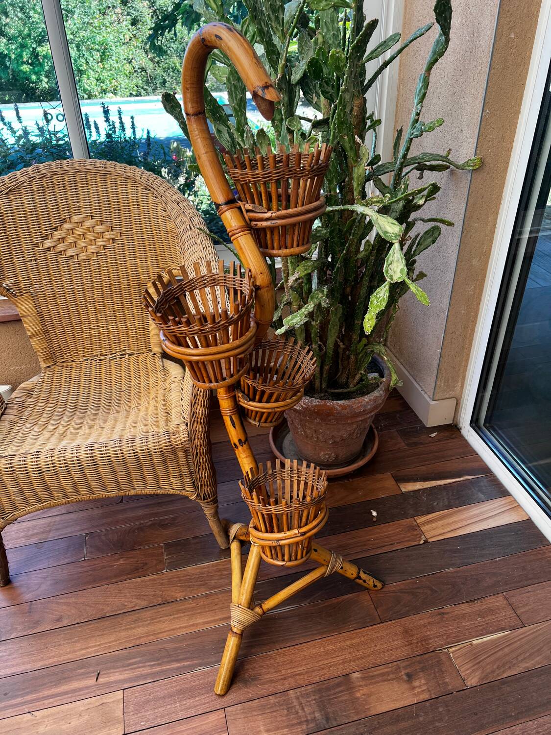 Rattan cobra plant holder