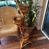 Rattan cobra plant holder