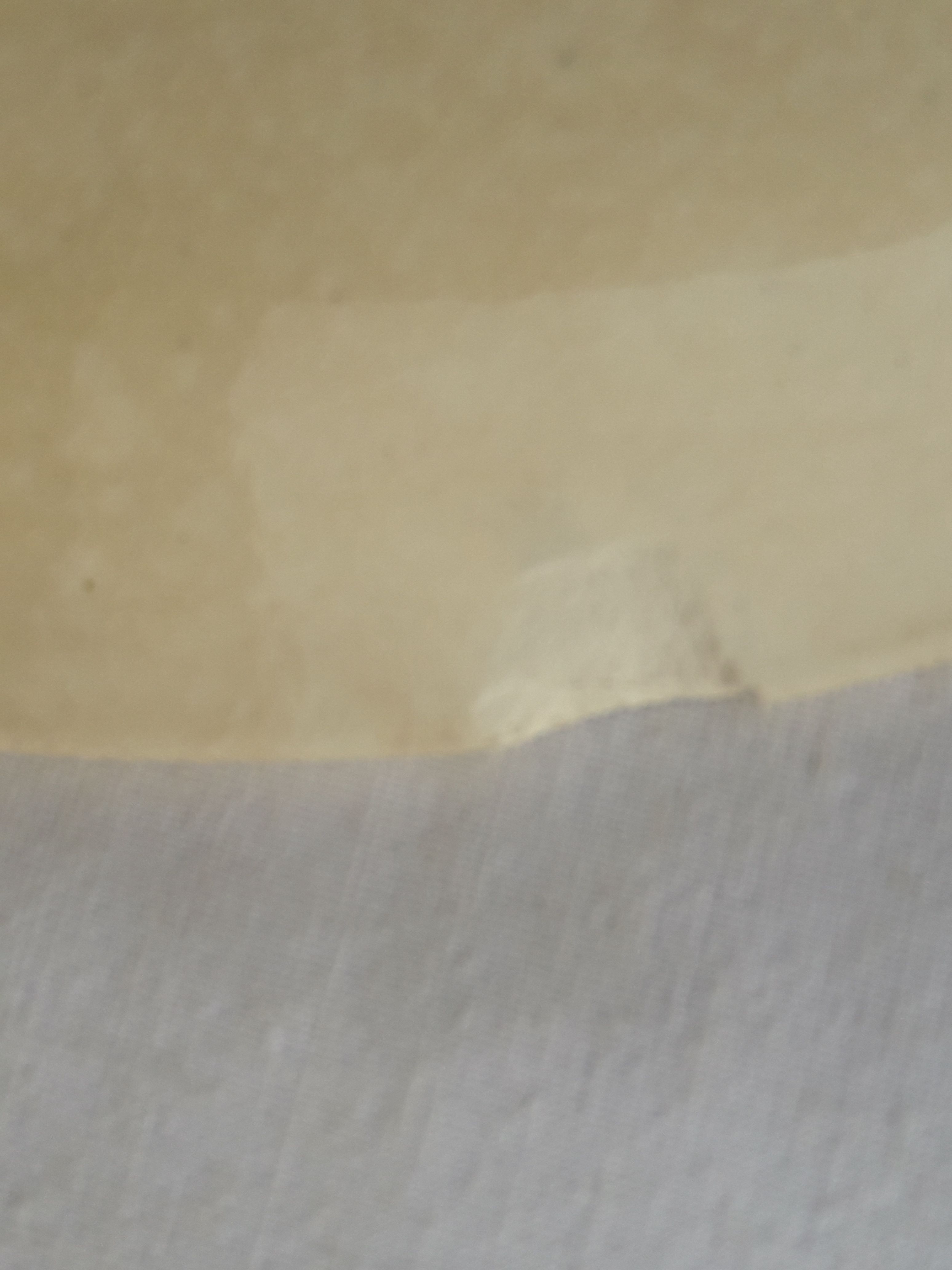 Gien Iron Earth opaque porcelain plate Florentine model diam 23.5 cm