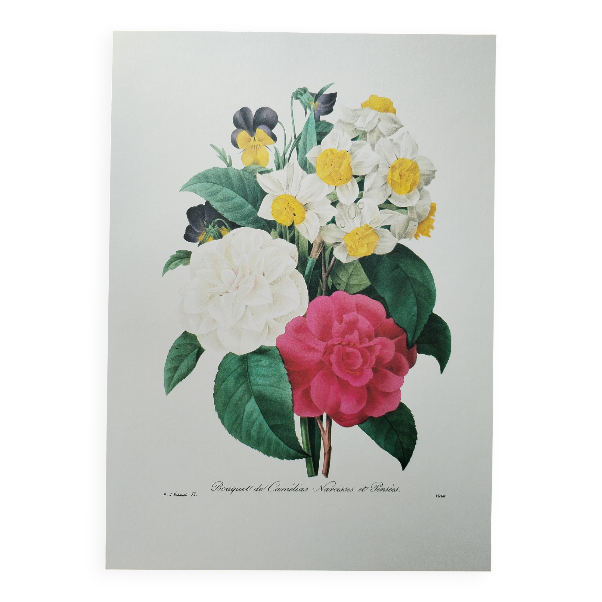 Original illustrated plate Bouquet of camellias, daffodils and pansies