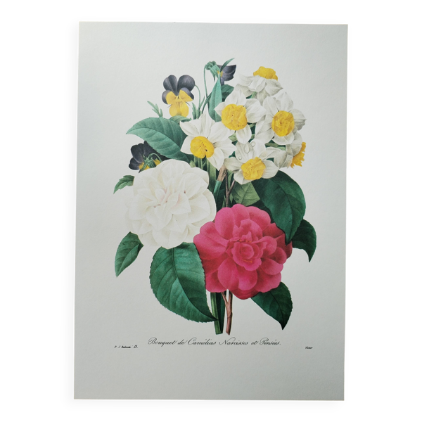 Planche illustrée originale Bouquet de camélias, narcisses et pensées — Beyit