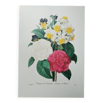 Planche illustrée originale Bouquet de camélias, narcisses et pensées