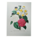 Original illustrated plate Bouquet of camellias, daffodils and pansies