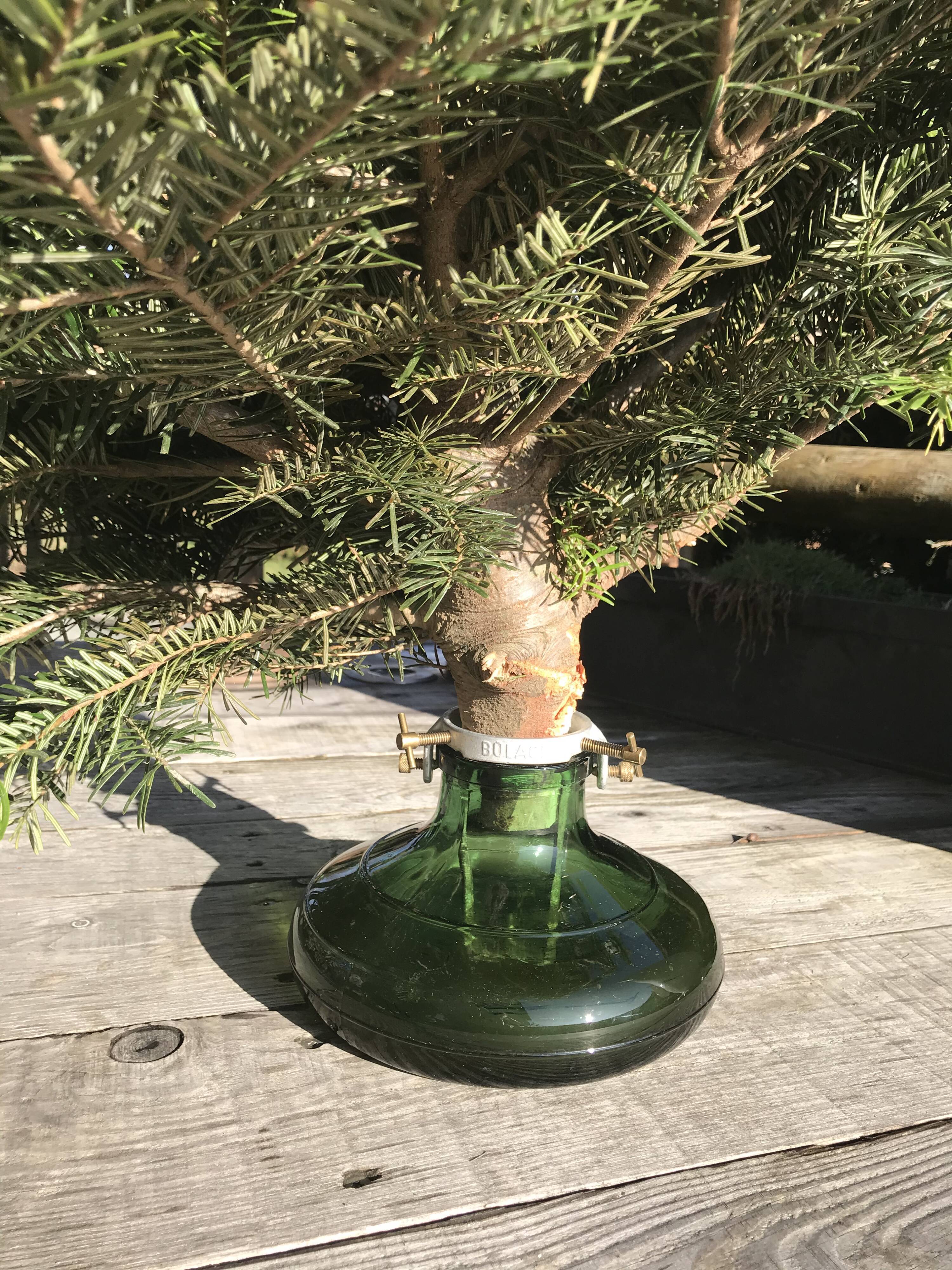Foot for christmas tree