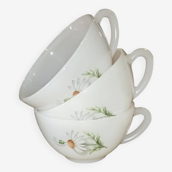 Arcopal Marguerite cups