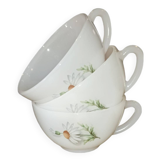 Arcopal Marguerite cups