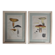Two old engravings of watercolor mushrooms nineteenth century after G. Bernard